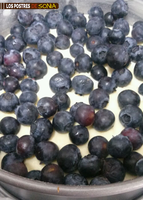 Arandanos5